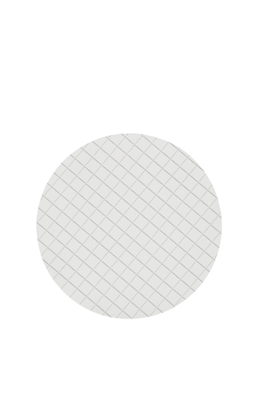 10407324 - Whatman™ ME 25 Steril Karışık Selüloz Ester Membran Filtre, Beyaz/Siyah 5 mm Gridli, Membrane Butler İçin, 0,45 µm, 50 mm Dairesel (400 Adet/Paket) 10407324 - Whatman™ ME 25 Steril Karışık Selüloz Ester Membran Filtre, Beyaz/Siyah 5 mm Gridli, Membrane Butler İçin, 0,45 µm, 50 mm Dairesel (400 Adet/Paket)
